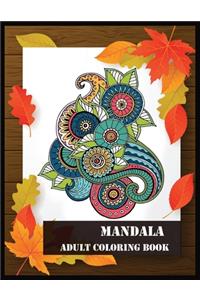 Mandala Adult Coloring Book