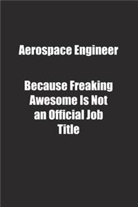 Aerospace Engineer Because Freaking Awesome Is Not an Official Job Title.