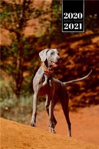 Great Dane Dog Calendar Week Planner 2020 / 2021 - Desert Tour