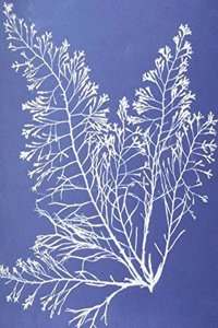 Blank Page Journal and Diary Notebook