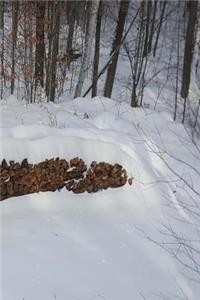 2019 Weekly Planner Winter Woodpile Snowcovered 134 Pages