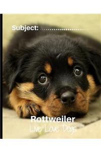 Rottweiler - Live Love Dogs!
