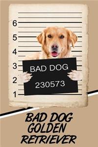 Bad Dog Golden Retriever