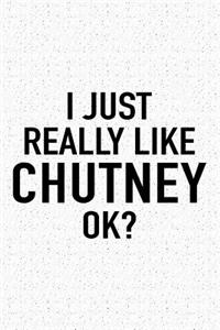 I Just Really Like Chutney Ok?