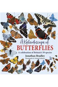 A Kaleidoscope of Butterflies