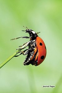 Journal Pages - Ladybug In Nature (Unruled)