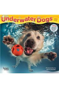 Underwater Dogs 2020 Mini 7x7