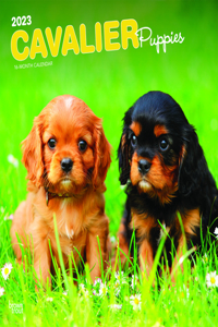 Cavalier King Charles Spaniel Puppies 2023 Square Calendar