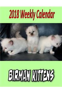 2018 Weekly Calendar Birman Kittens