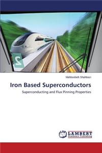 Iron Based Superconductors