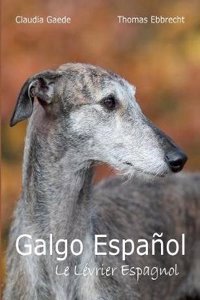 Galgo EspaÃ±ol