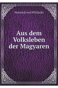 Aus dem Volksleben der Magyaren