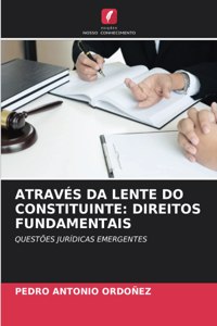 Através Da Lente Do Constituinte