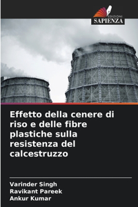 Effetto della cenere di riso e delle fibre plastiche sulla resistenza del calcestruzzo