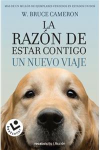 La Razon de Estar Contigo. Un Nuevo Viaje