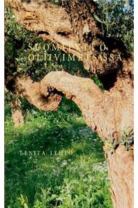 Suomityttö oliivimetsässä