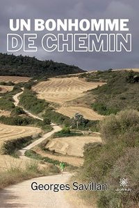 Un bonhomme de chemin