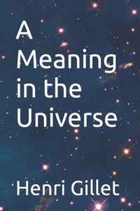 Meaning in the Universe