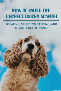 How To Raise The Perfect Cocker Spaniel