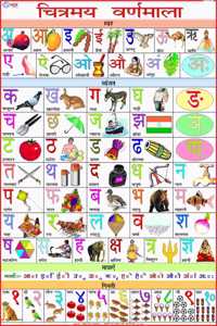 Alphabet Hindi Chart ( 70 X 100 Cm )