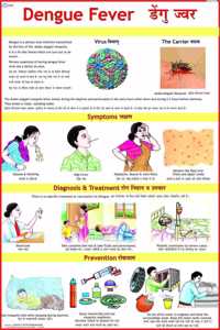 Dengue Fever Chart