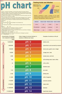 Ph Chart | Laminated | Useful For Chemistry Labs, Students And Teachers