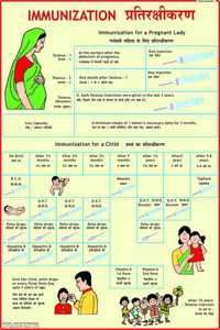 Immunization Chart