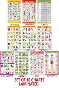 Early Learning Educational Charts Set For Kids | 45X60 Cm | Set Of 10 | Non-Tearable And Waterproof | Double Sided Lamination | Perfect For Homeschooling, Kindergarten And Nursery Students | Alphabet, Numbers, Birds, Animals