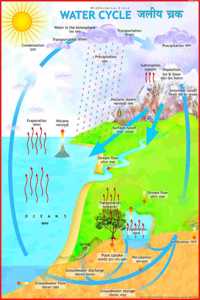 Water Cycle Chart
