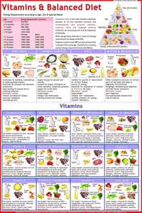 Balanced Diet & Vitamin Chart - Laminated ( 50 X 70 Cm )