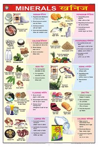Teachingnest | Minerals Chart (70X100Cm) | Food And Nutrition Chart | Wall Sticking | English - Hindi Combined