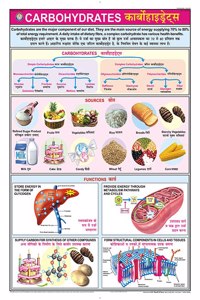 Teachingnest | Carbohydrates Chart (70X100Cm) | Food And Nutrition Chart | Wall Sticking | English - Hindi Combined