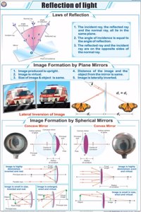 Teachingnest | Reflection Of Light Chart (58X90 Cm) | English | Physics Charts | With Rollers