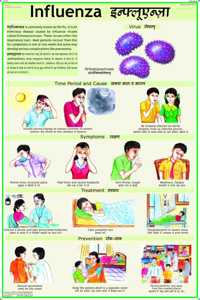 Influenza Chart