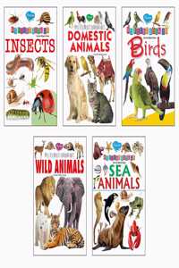 Picture Book Collection For Early Learning (Set Of 5) - My First Book Of Wild Animals, My First Book Of Domestic Animals, My First Book Of Birds, My ... Of Insects And My First Book Of Sea Animals
