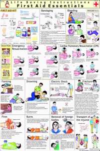 Learn Kannada Through Tamil, Learn Telugu Through Tamil, Learn Hindi Through Tamil, Learn Malayalam Through Tamil, Set Of 4 Books