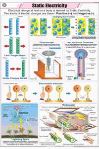 Teachingnest | Static Electricity Chart (58X90 Cm) | English | Physics Charts | With Rollers