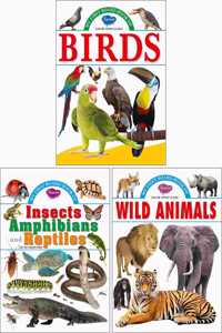 Sawan Set Of 3 Board Books My First Board Book Series (Birds , Insects Amphibians & Reptiles & Wild Animals)