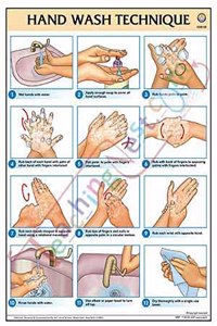 Teachingnest |Hand Wash Technique Chart 32X47Cm English | Covid Safety |