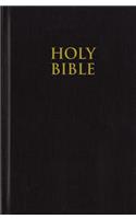 Church Bible-NIV