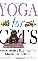 Yoga For Cats