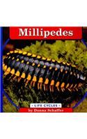 Millipedes: (Life Cycles (QEB Publishing))