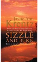 Sizzle And Burn: Number 3 in series(Arcane Society Series)