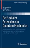 Self-Adjoint Extensions in Quantum Mechanics