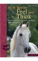 How Horses Feel and Think