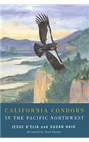 California Condors in the Pacific Northwest