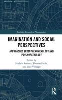 Imagination and Social Perspectives