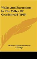Walks and Excursions in the Valley of Grindelwald (1900)