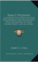 Fancy Pigeons