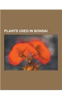 Plants Used in Bonsai: Olive, Ginkgo Biloba, Podocarpus Latifolius, Eastern White Pine, Quince, Ficus Aurea, Acer Rubrum, Cherry Blossom, Fic